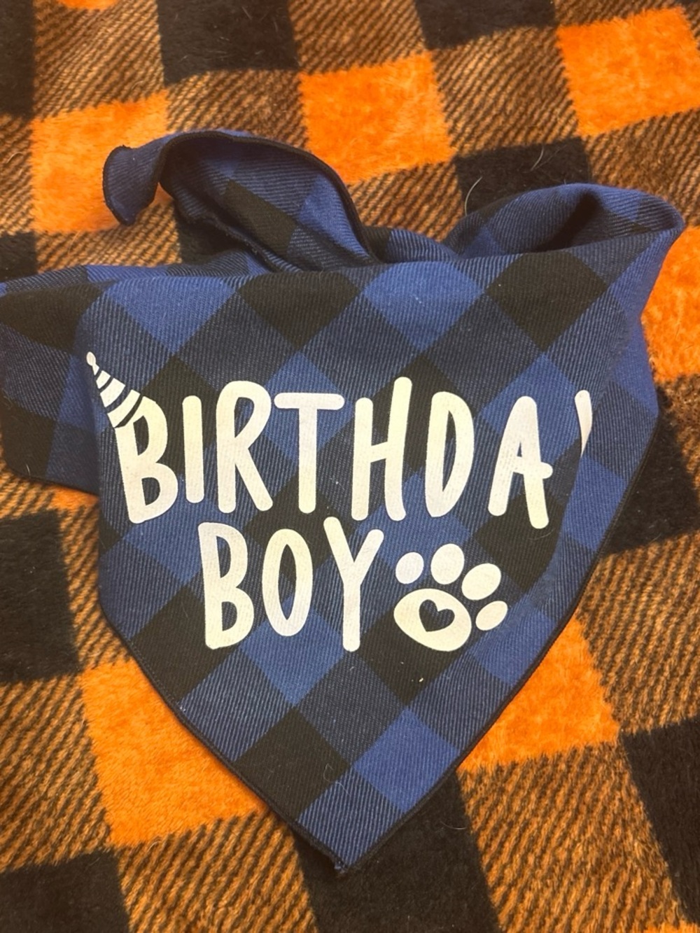 Birthday Boy Blue Plaid Pet Bandana - Party Supplies